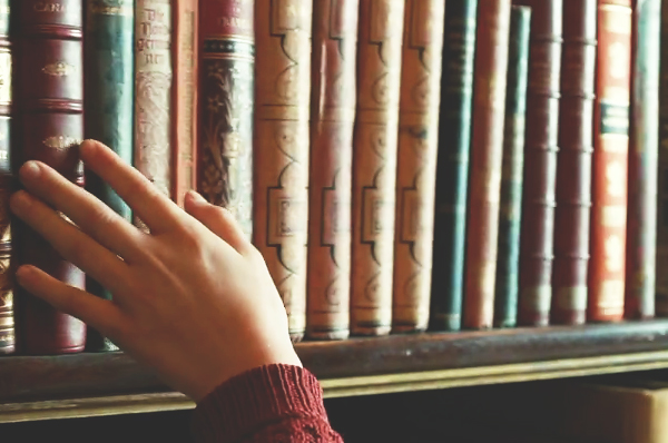 tumblr_static_book_thief